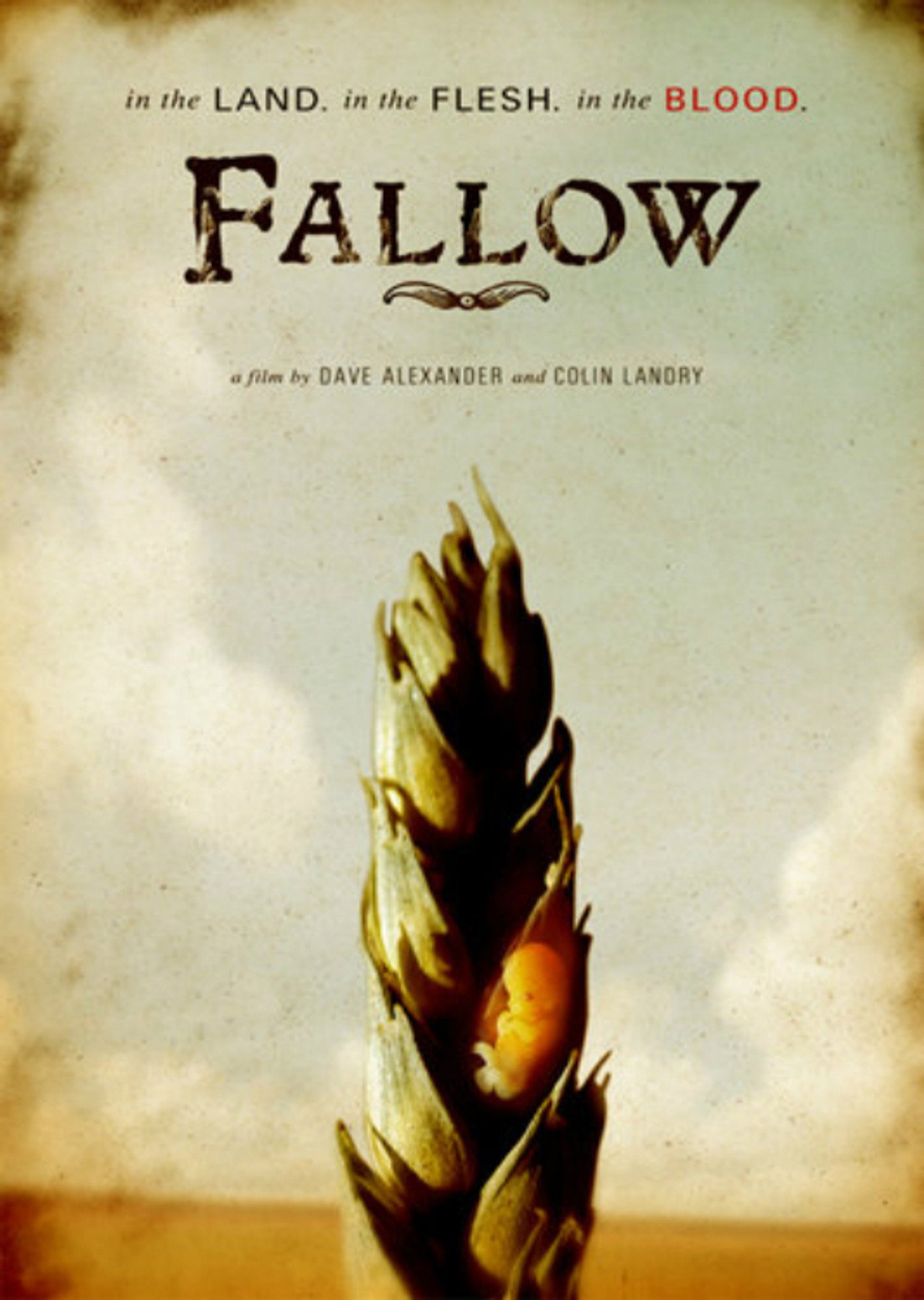 Fallow filmaffisch