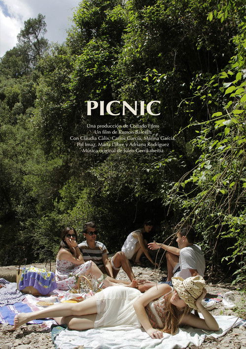 Picnic poster