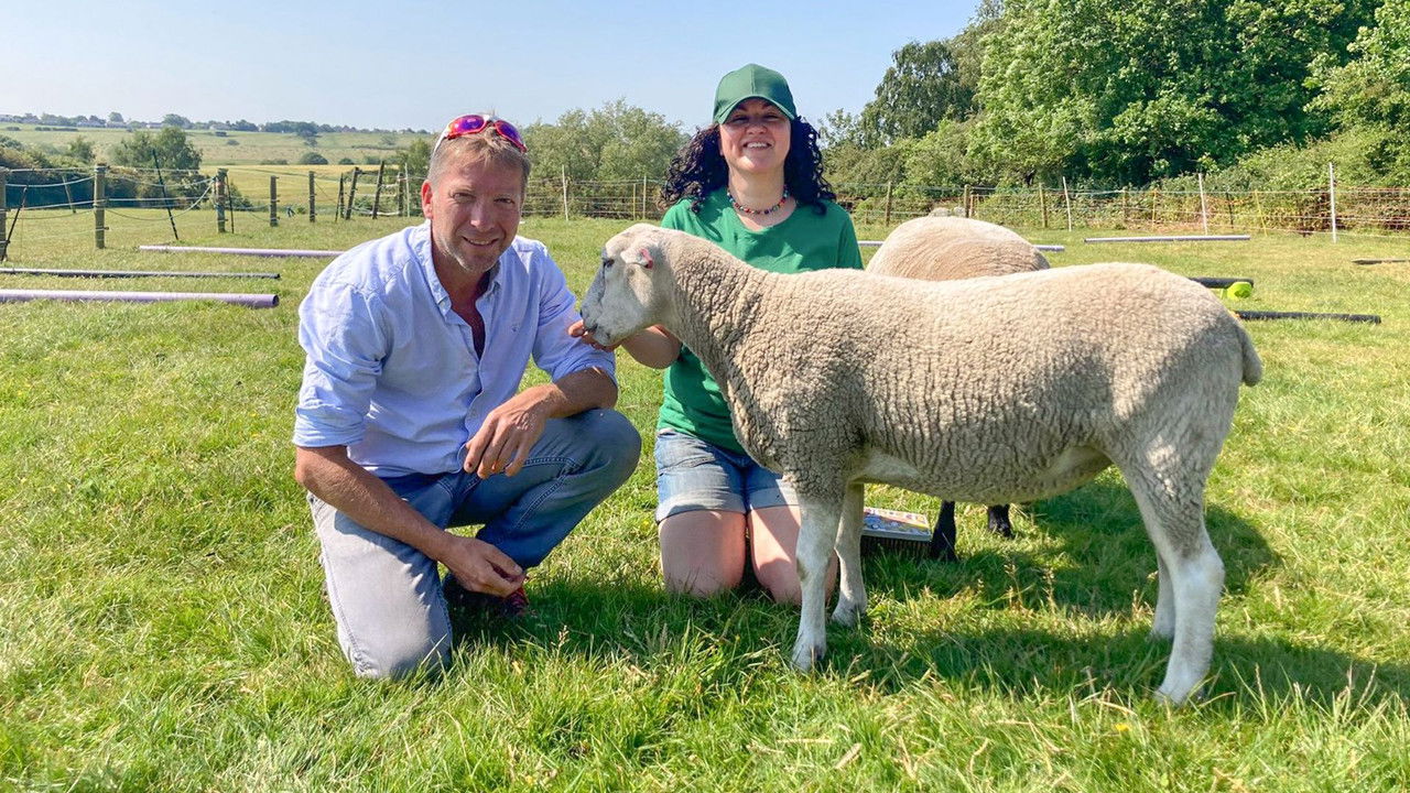 The Yorkshire Vet - Season 19 Episode 14 : Episode 14