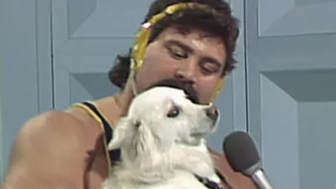 NWA World Championship Wrestling — Épisode 4