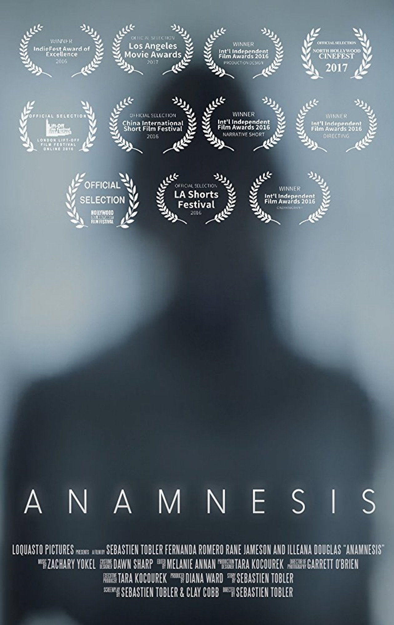 Anamnesis filmaffisch