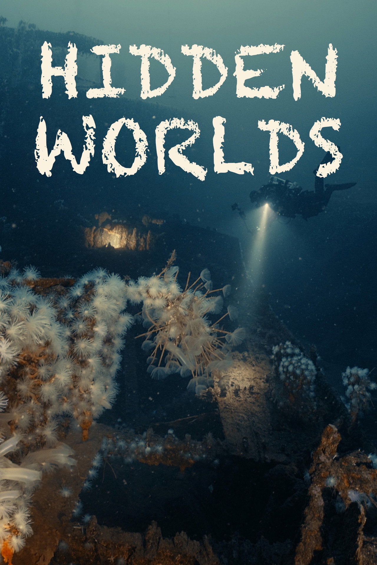 Hidden Worlds poster