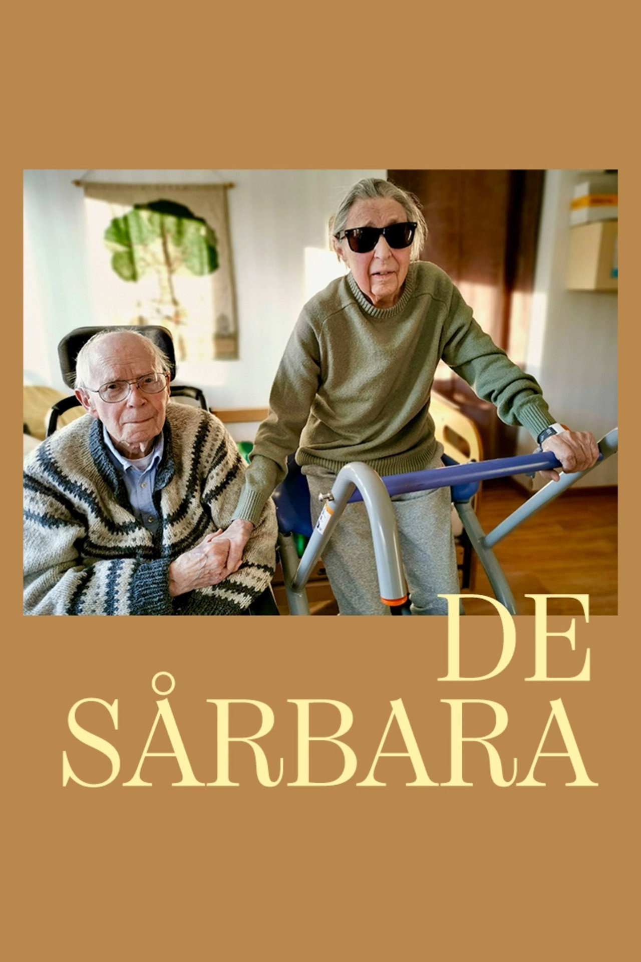 De sårbara filmaffisch