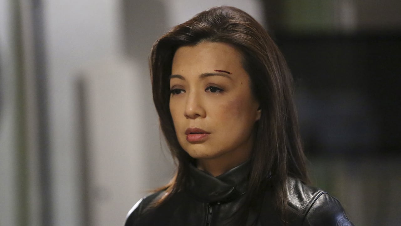 Marvel's Agents of S.H.I.E.L.D. - Season 2 Episode 22 : S.O.S. (2)