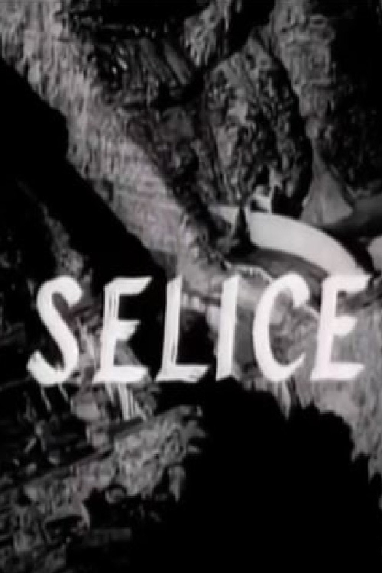 Selice Selice
