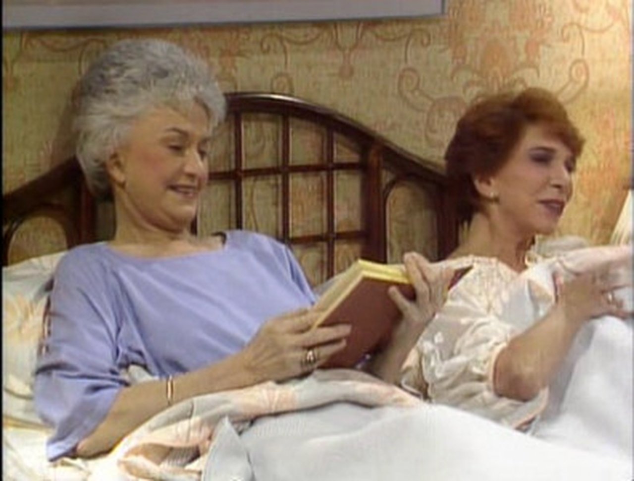 The Golden Girls - Season 1 Episode 12 : The Custody Battle