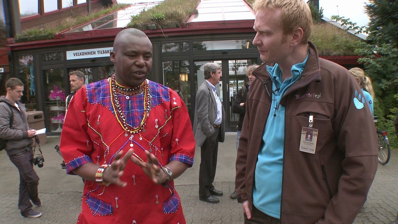 Program 9