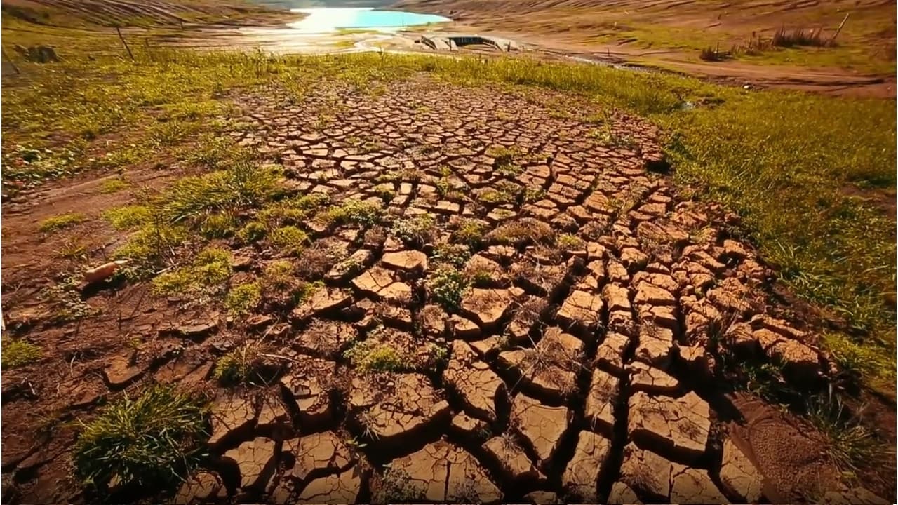 Scen från A Lei da Água (Novo Código Florestal)