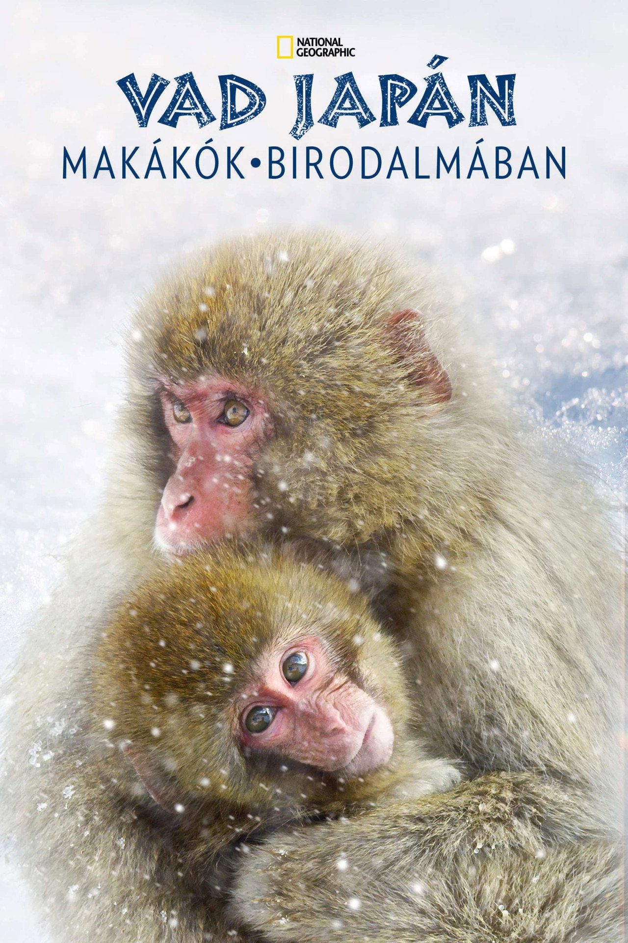 Vad Japán: makákók birodalmában – plakát 6