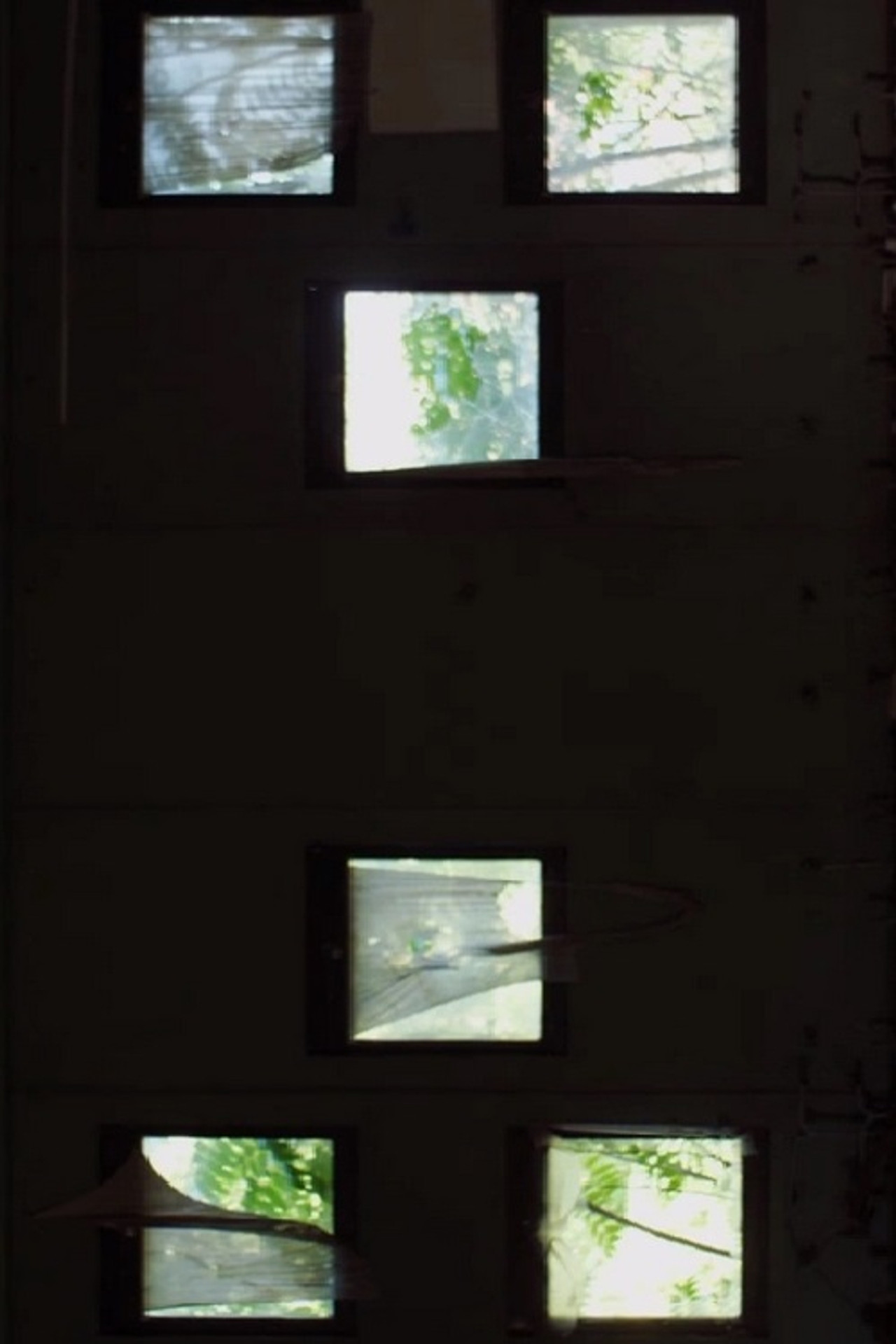 Sighs and Tears Backdrop