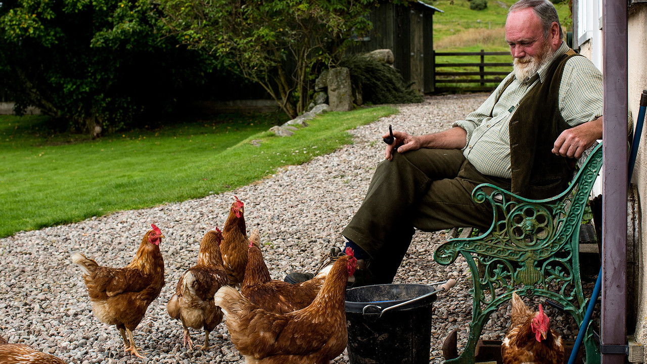 This Farming Life — Épisode 4