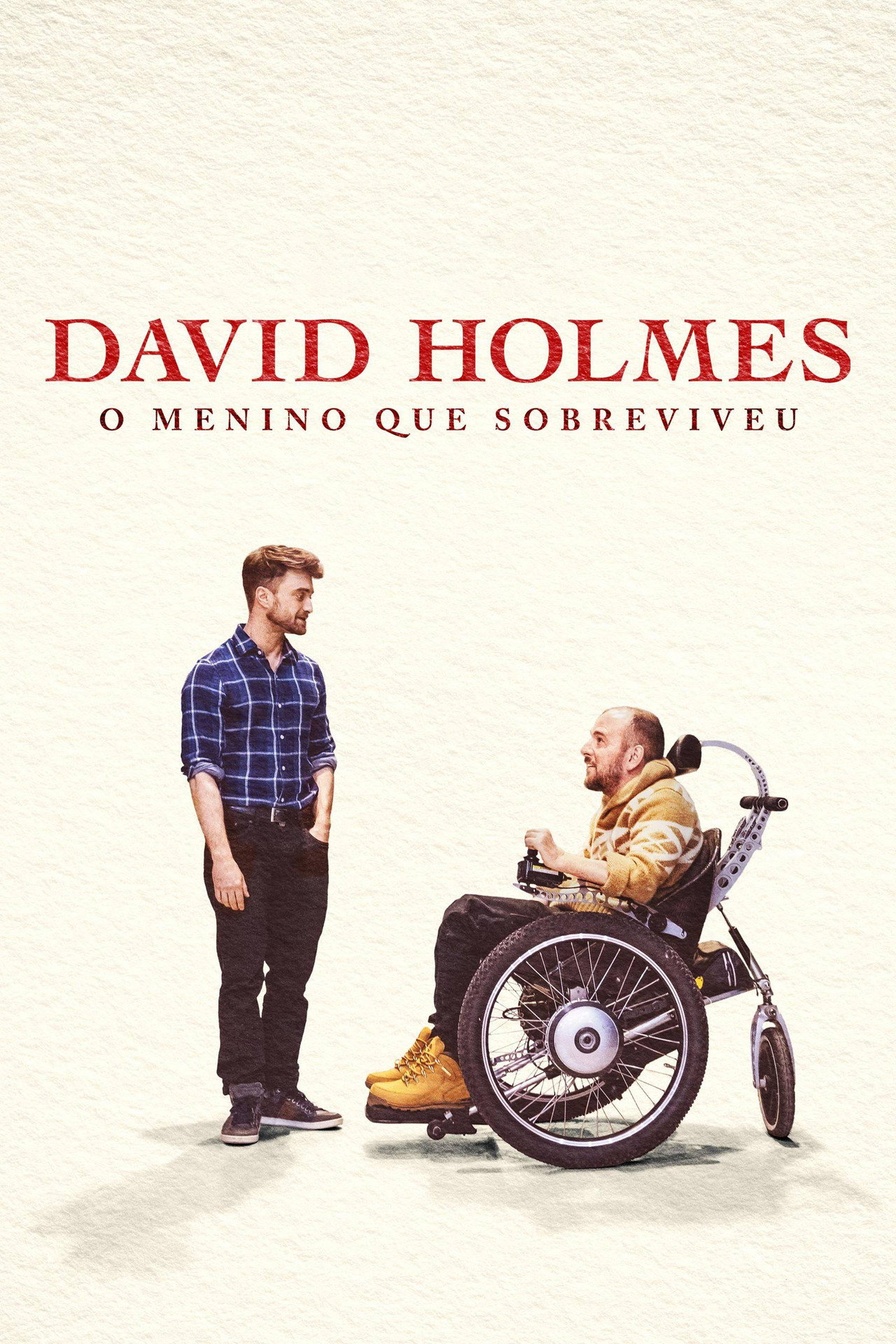 Pôster de David Holmes: O Menino que Sobreviveu