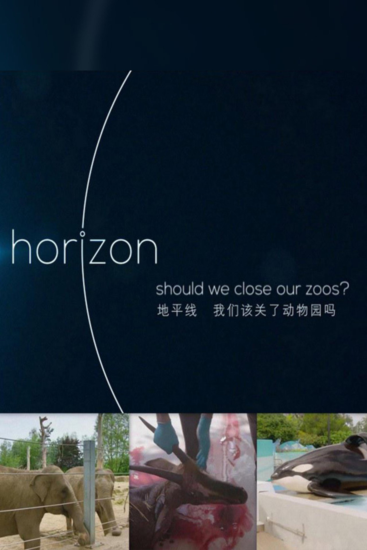 BBC Horizon: Should We Close Our Zoos filmaffisch