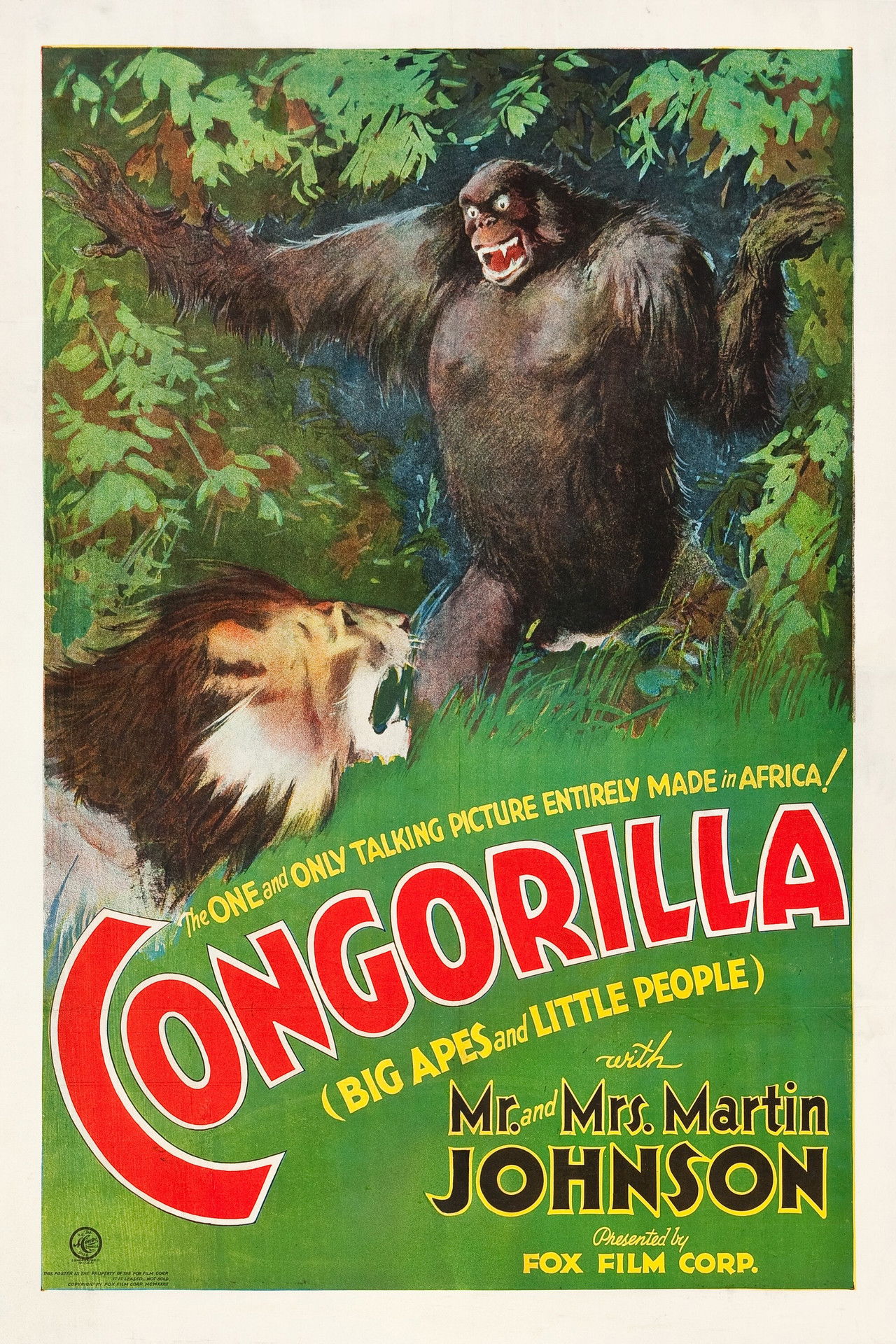 Congorilla Backdrop