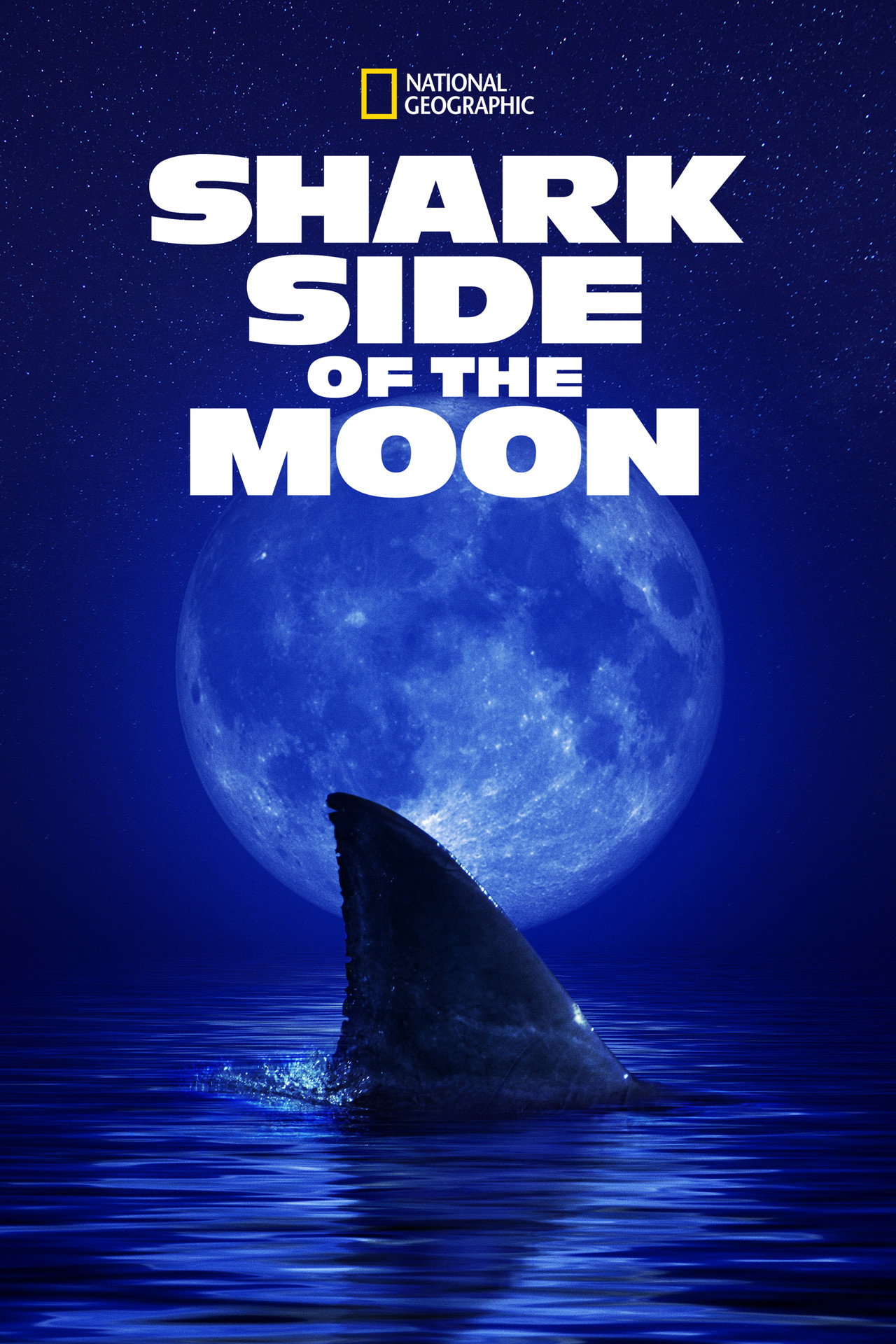 Shark Side of the Moon filmaffisch