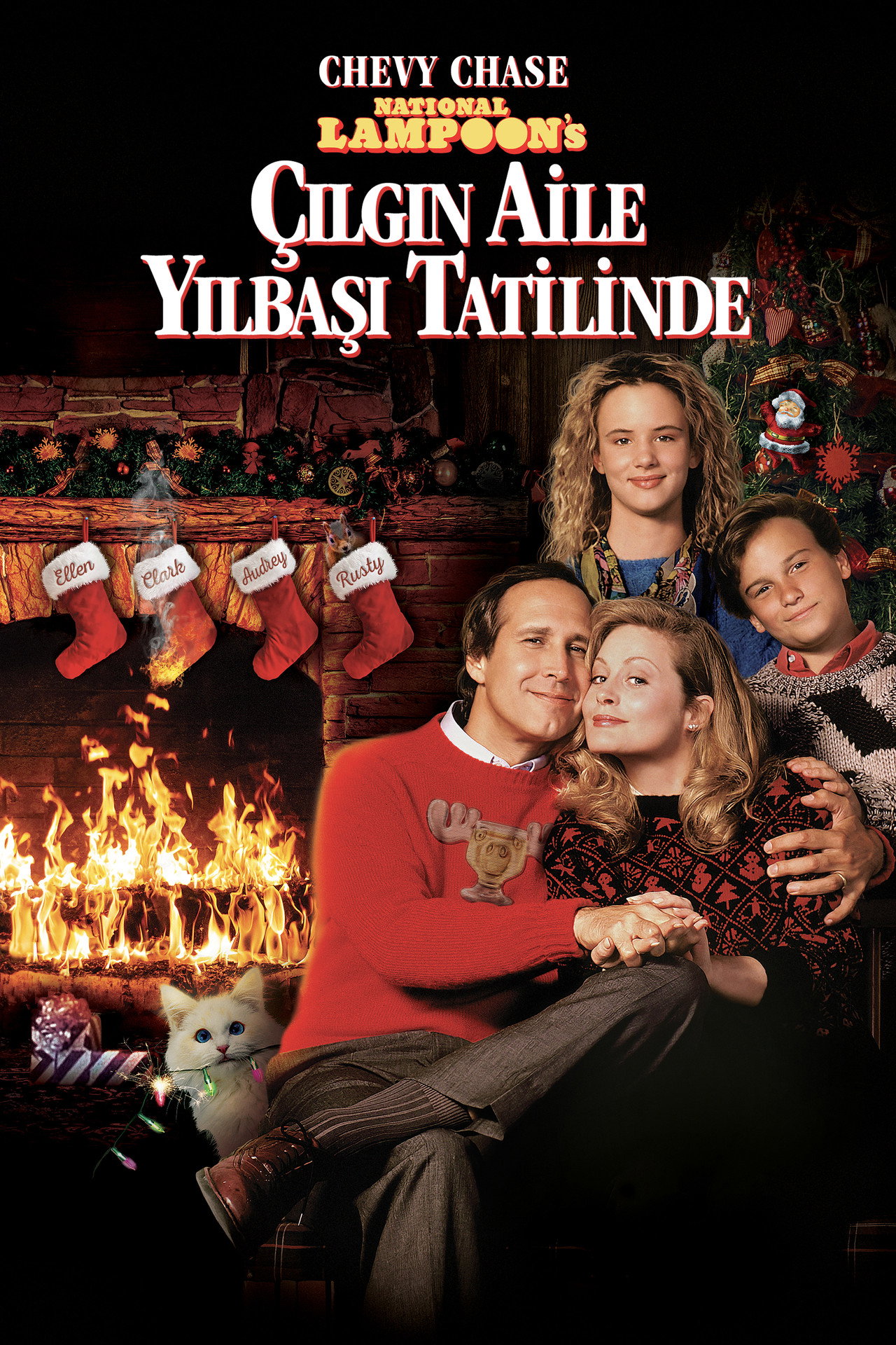 Çılgın Aile Yılbaşı Tatilinde Poster