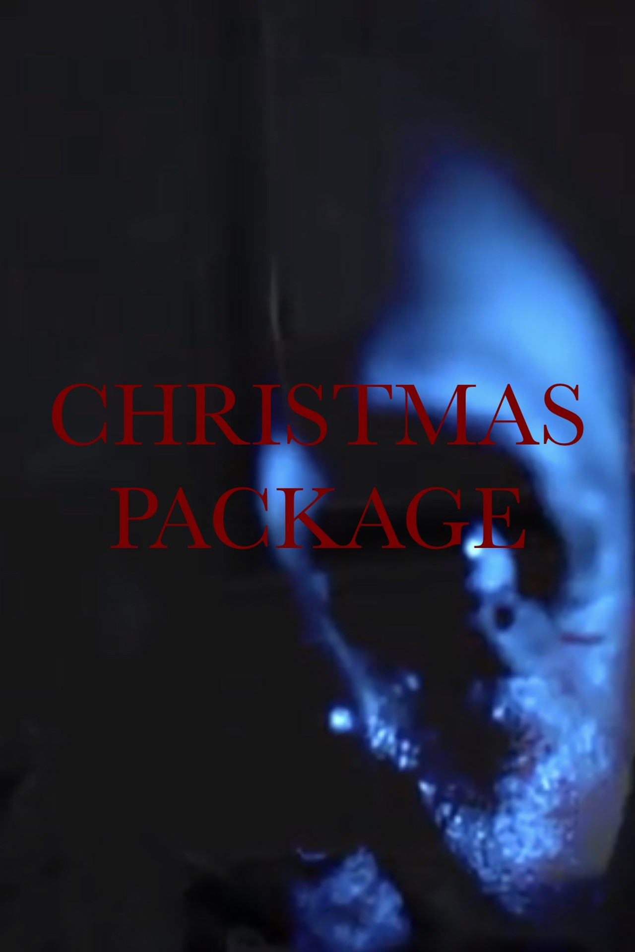 Christmas Package Backdrop