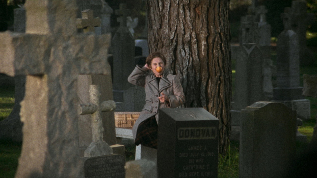 Harold and Maude background 42