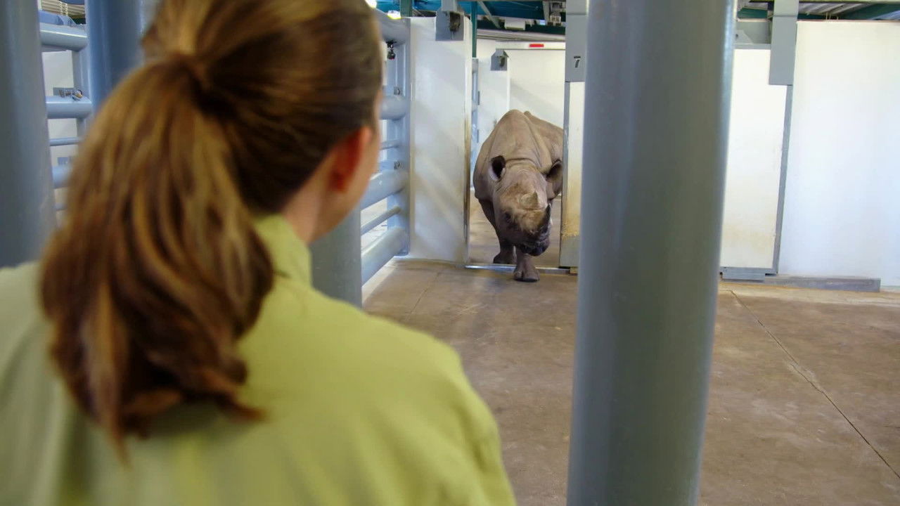 Au cœur de Disney's Animal Kingdom — Épisode 5