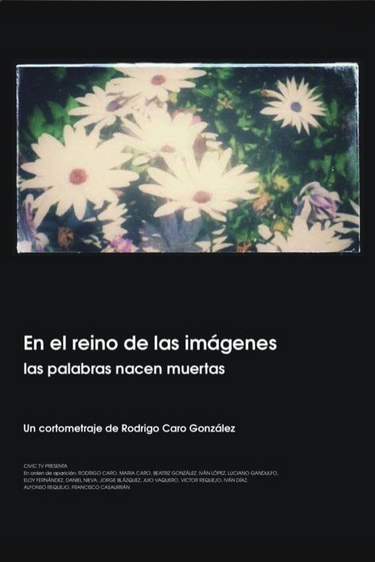 En el reino de las imágenes, las palabras nacen muertas filmaffisch