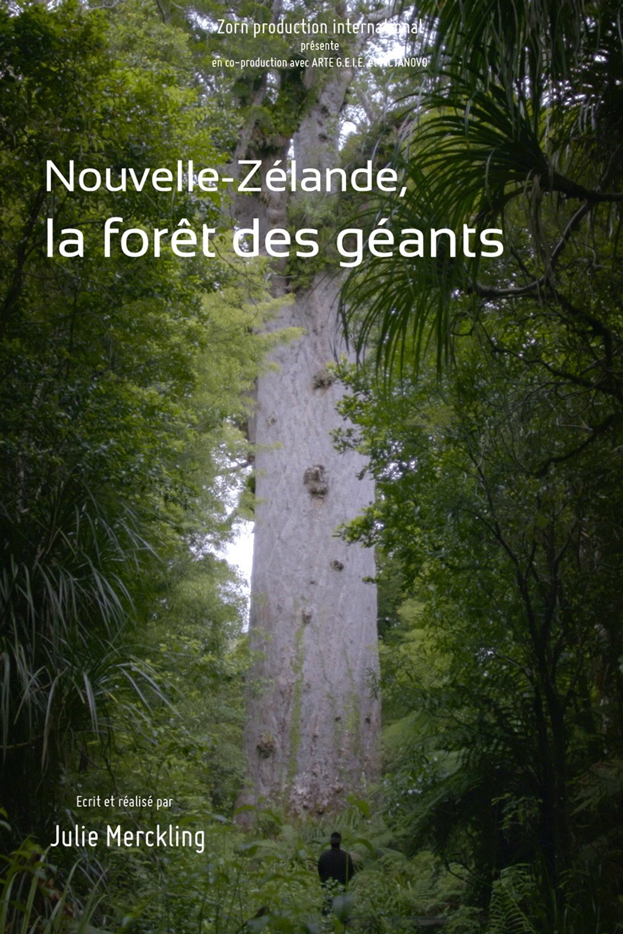 Nouvelle-Zélande, la forêt des géants filmaffisch