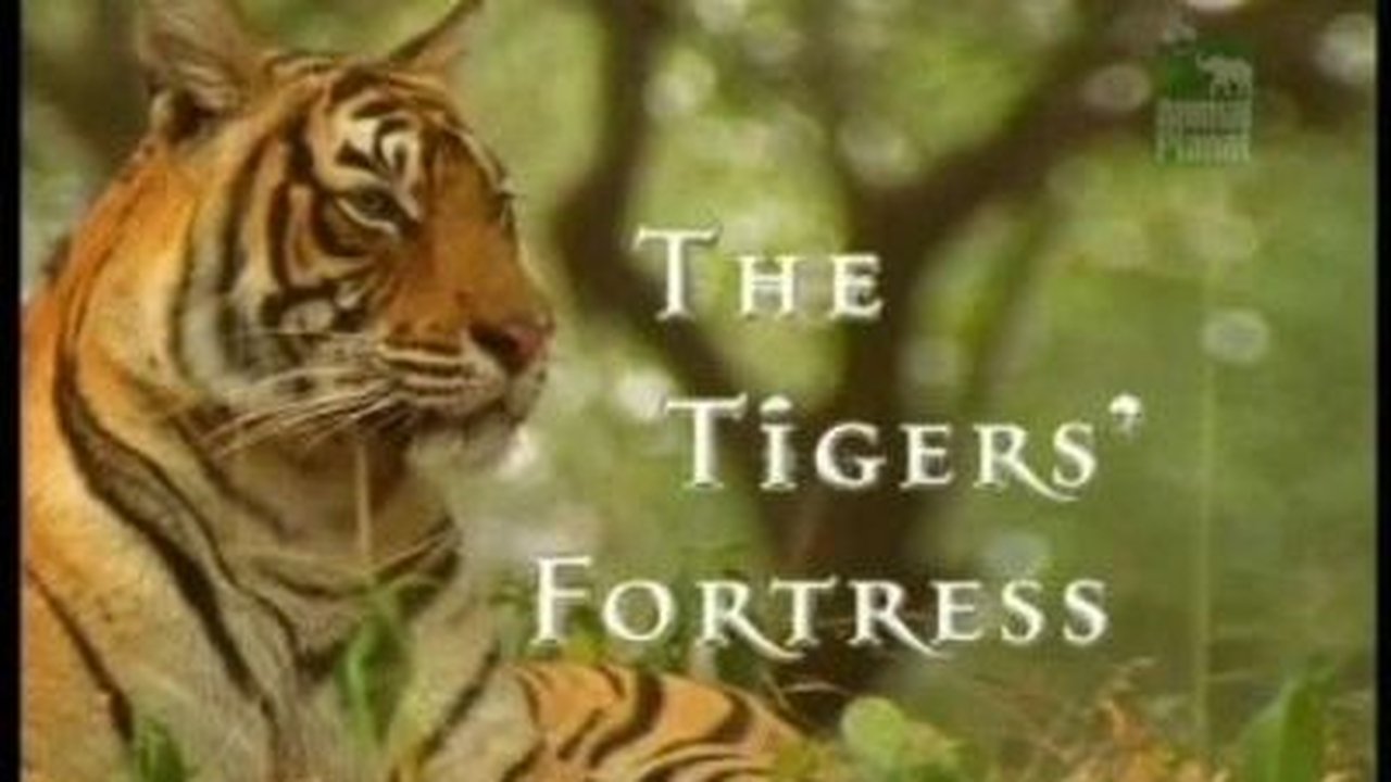 Natural World - Season 19 Episode 4 : The Tigers' Fortress
