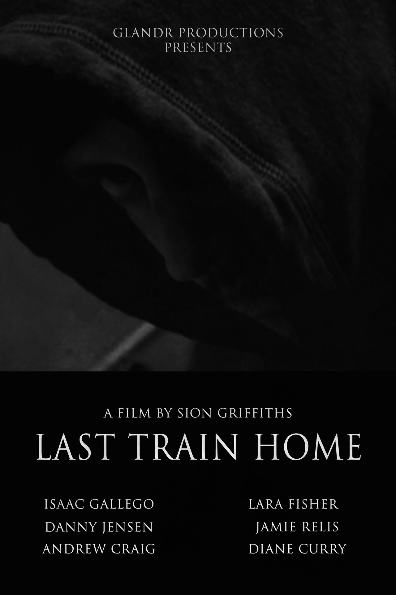 Last Train Home filmaffisch