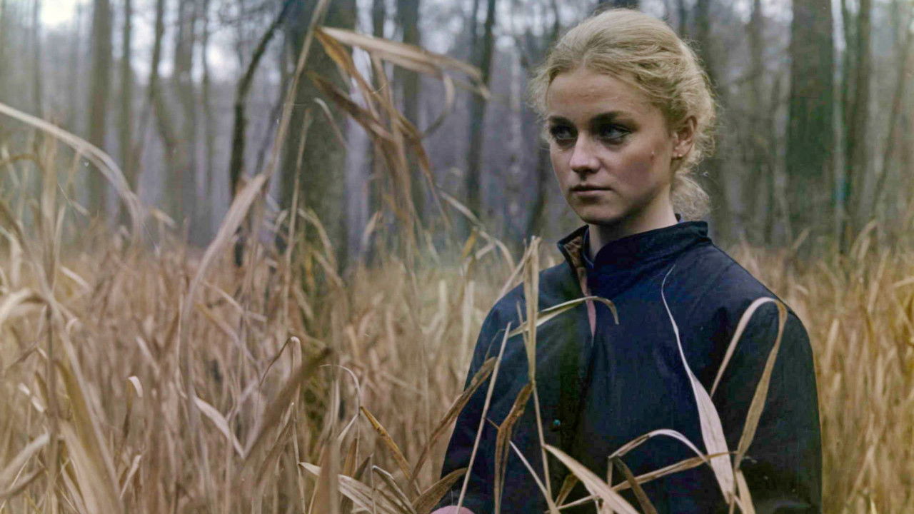 Angel in the Wardrobe backdrop