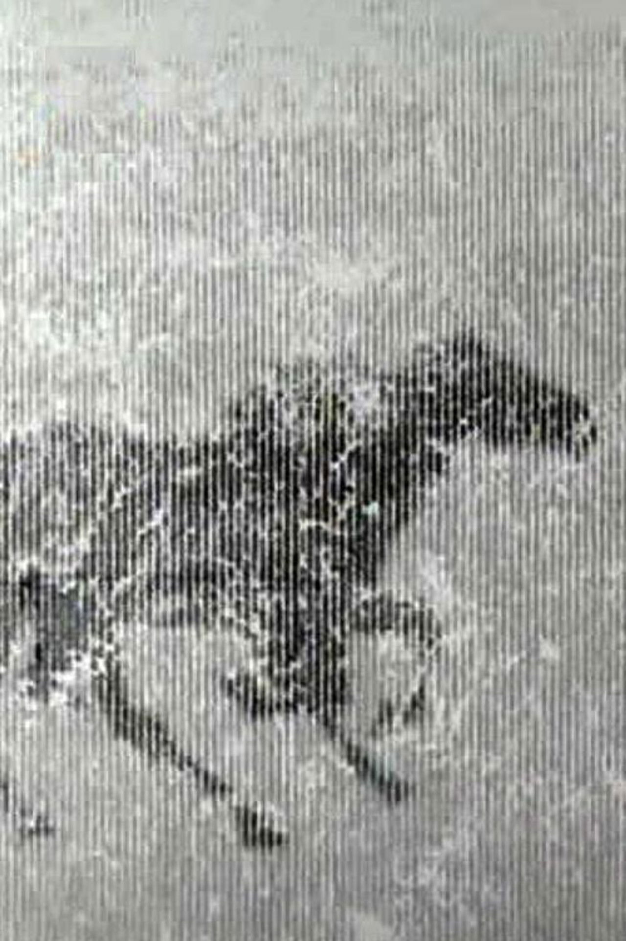 Spring 1999 Backdrop