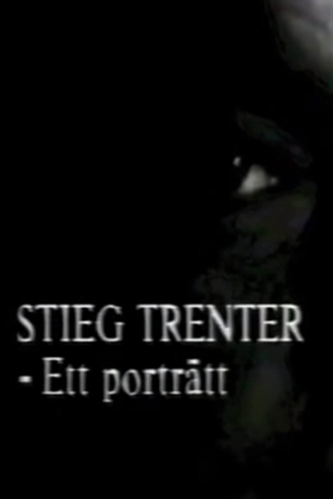 Stieg Trenter - Ett porträtt filmaffisch