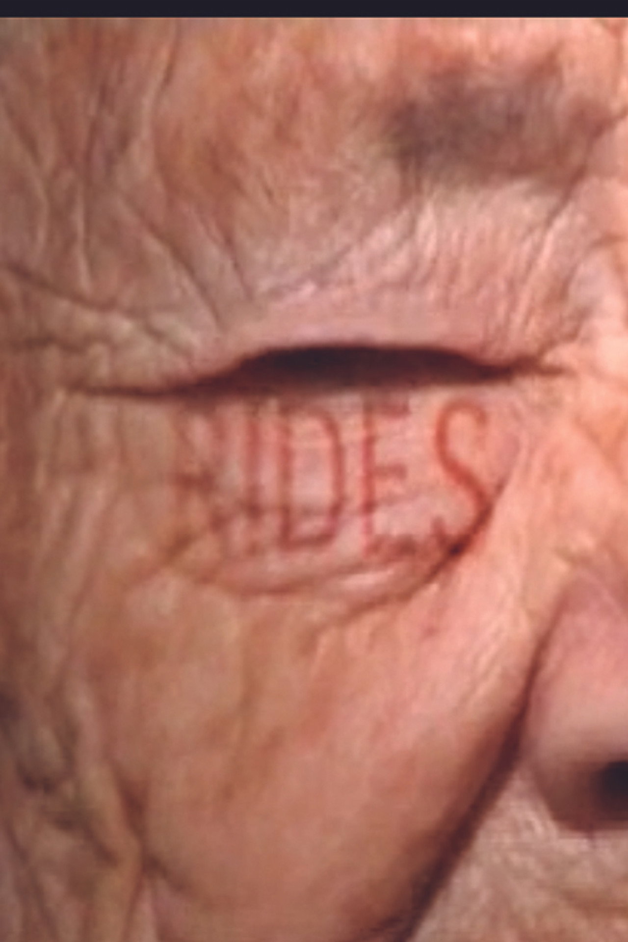 Rides - André Malby Backdrop