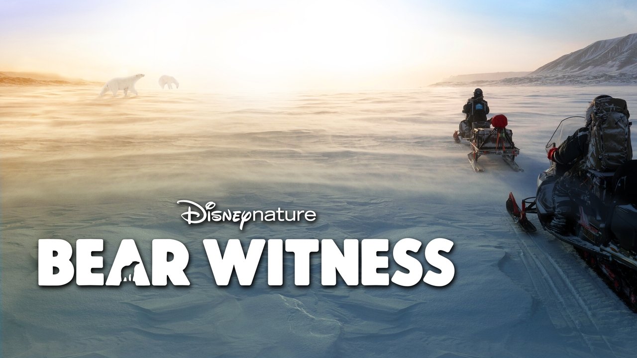 Bear Witness background