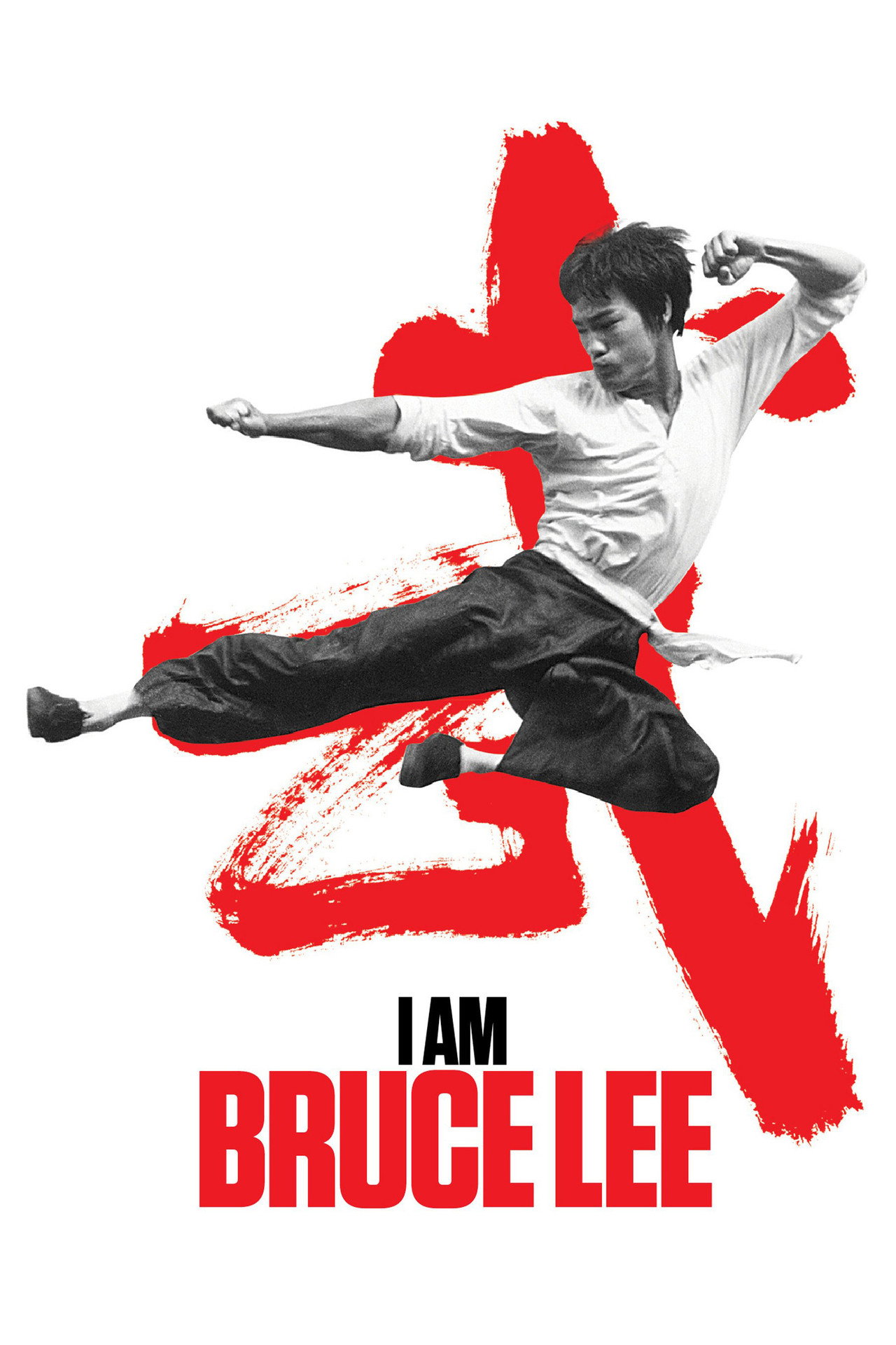 Nevem Bruce Lee – plakát 5