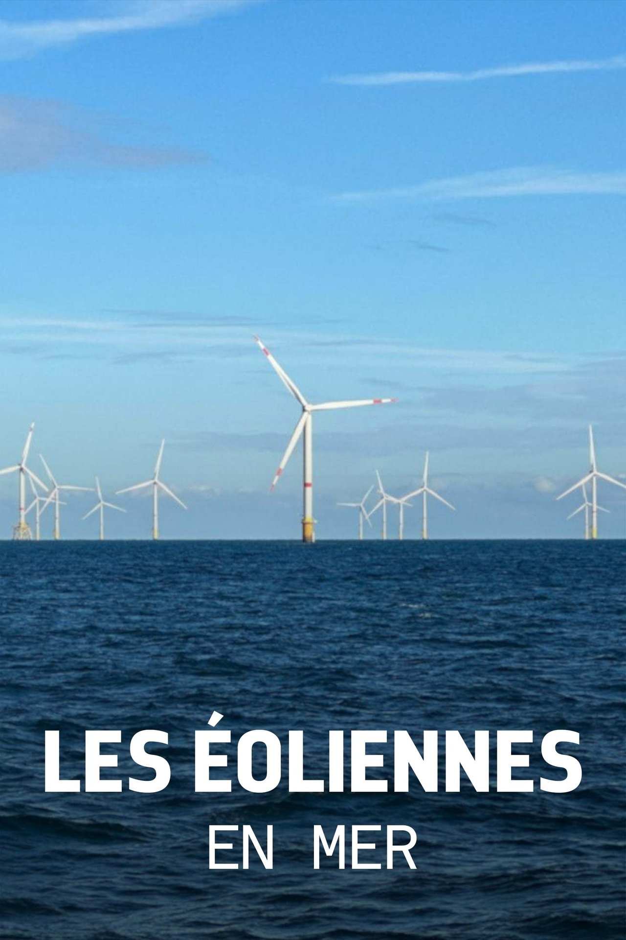 Les éoliennes en mer, quelle cohabitation avec la nature ? poster