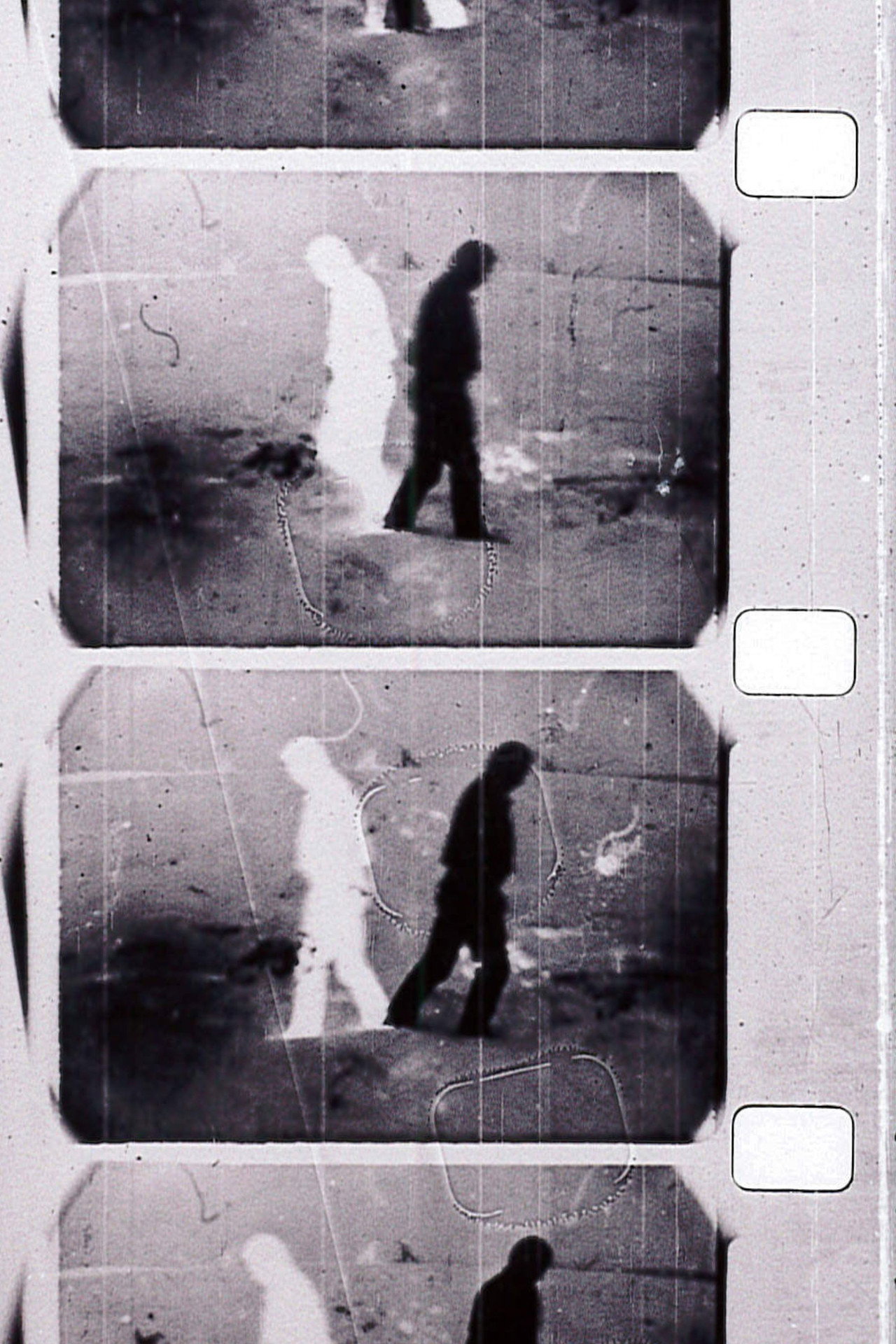 I N G A の世界 filmaffisch