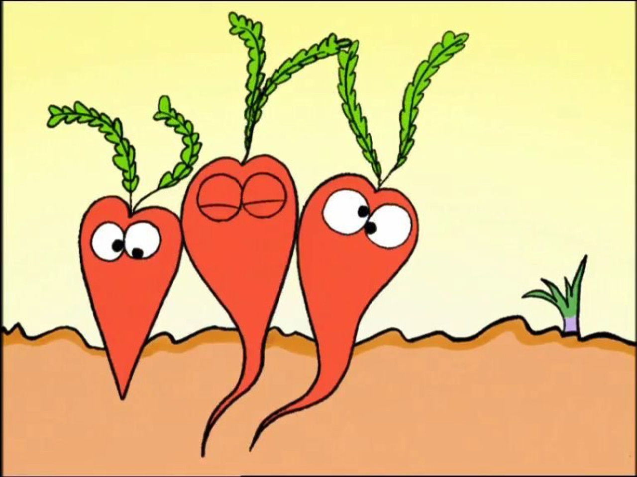 Les Shadoks — La carotte folle