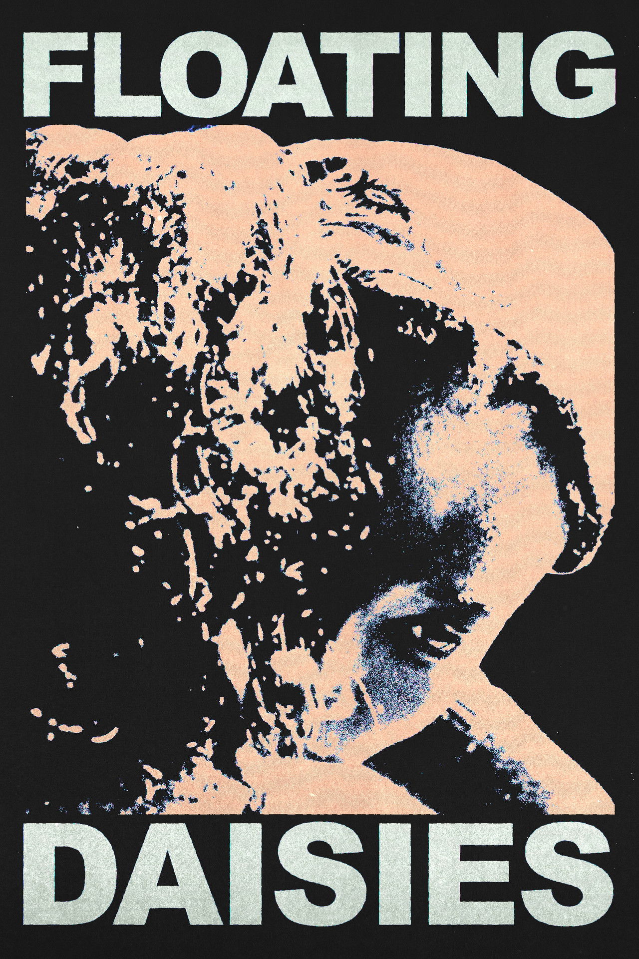 Floating Daisies Backdrop