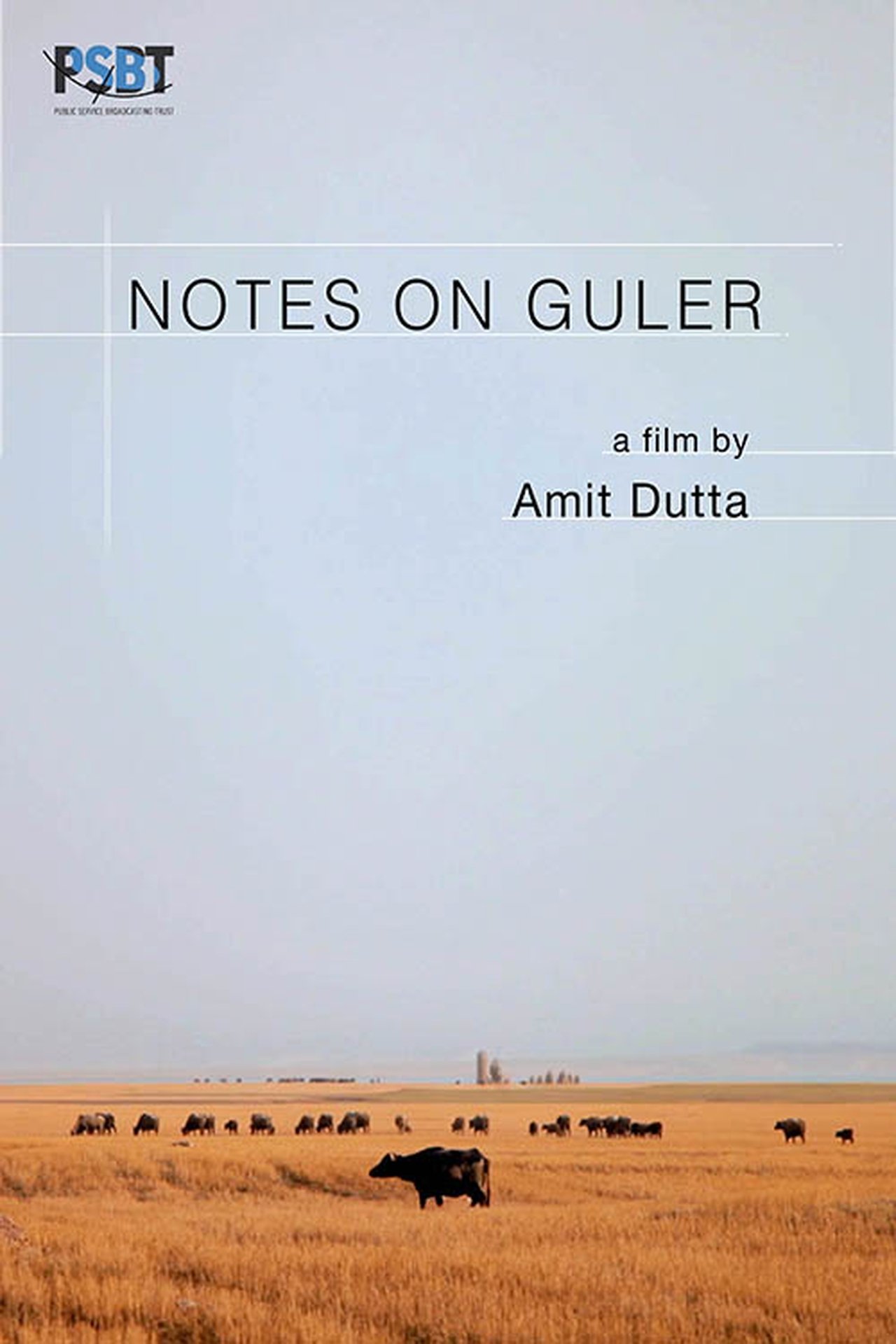 Notes on Guler 2019