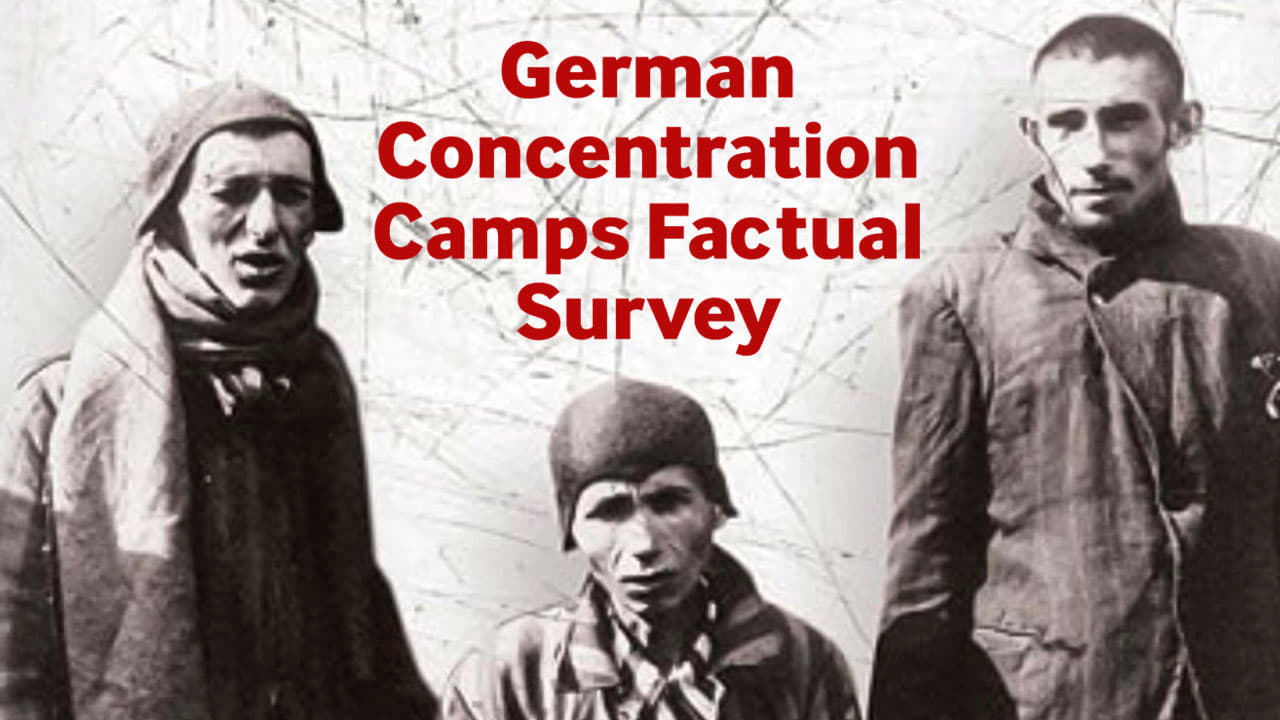 German Concentration Camps Factual Survey background