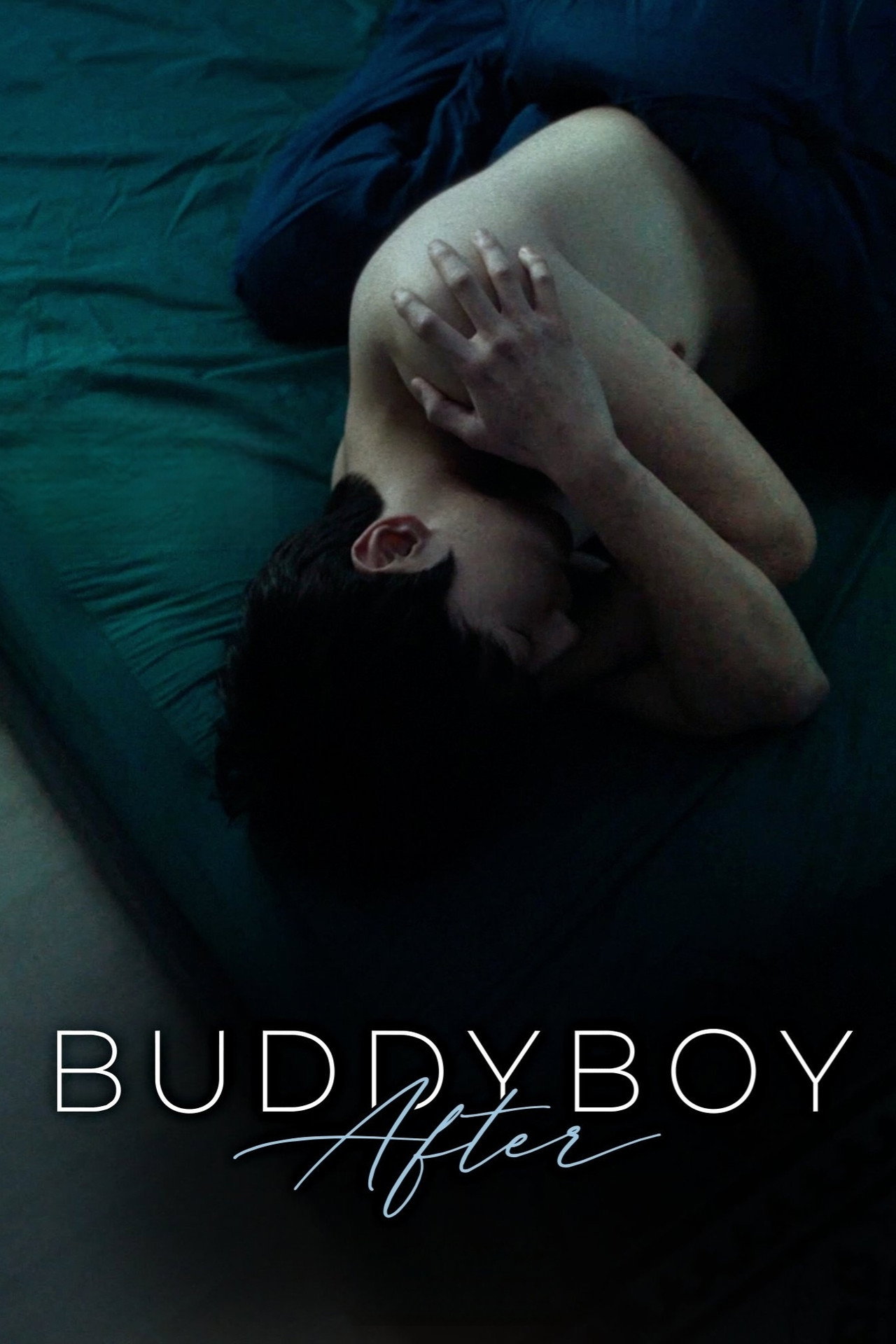 Buddy Boy