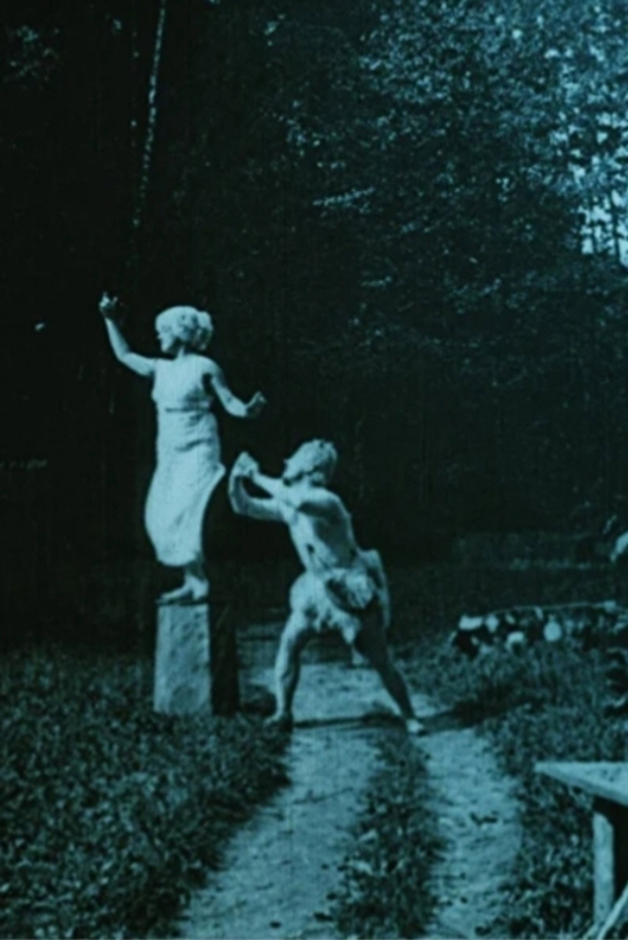 Adventure In The Park Backdrop