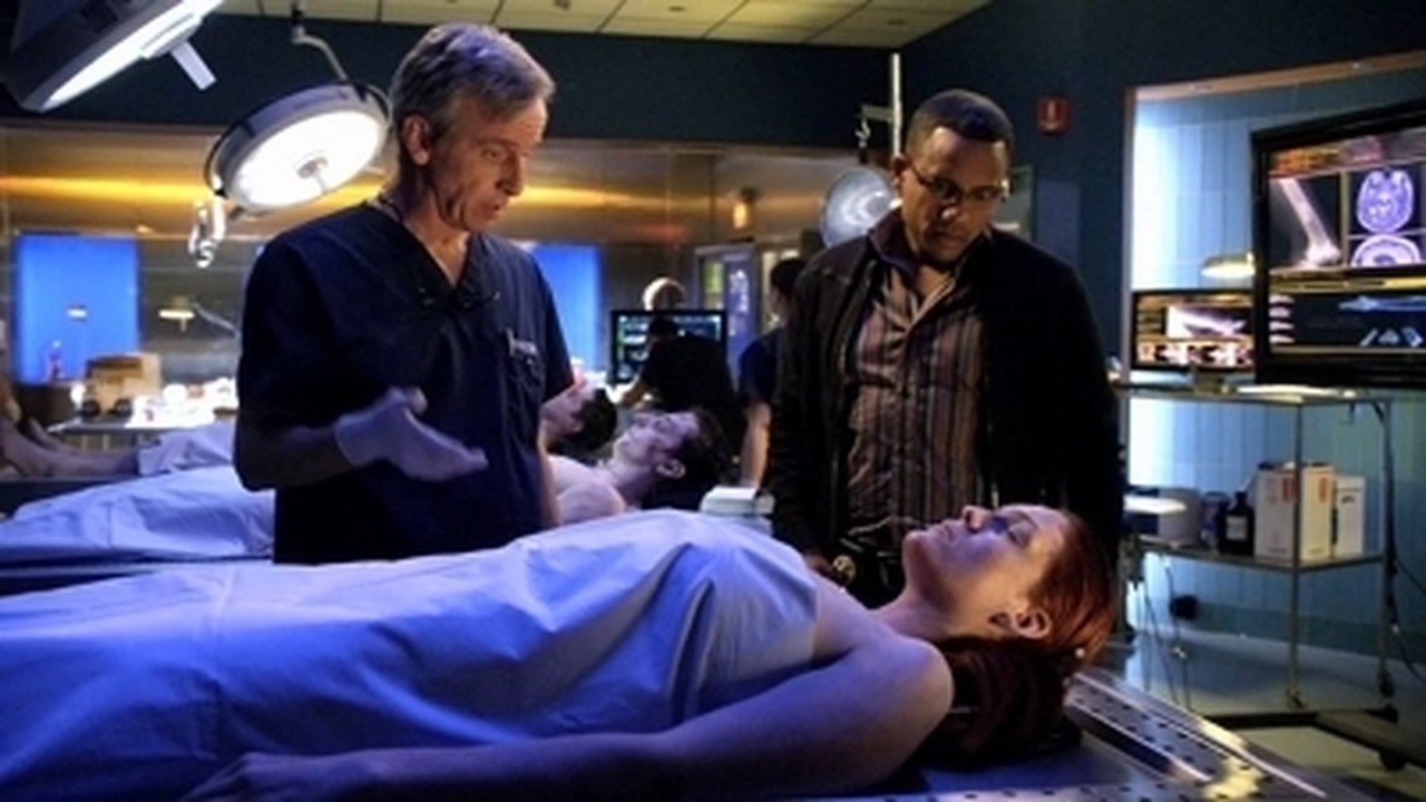 CSI: NY - Season 7 Episode 13 : Party Down