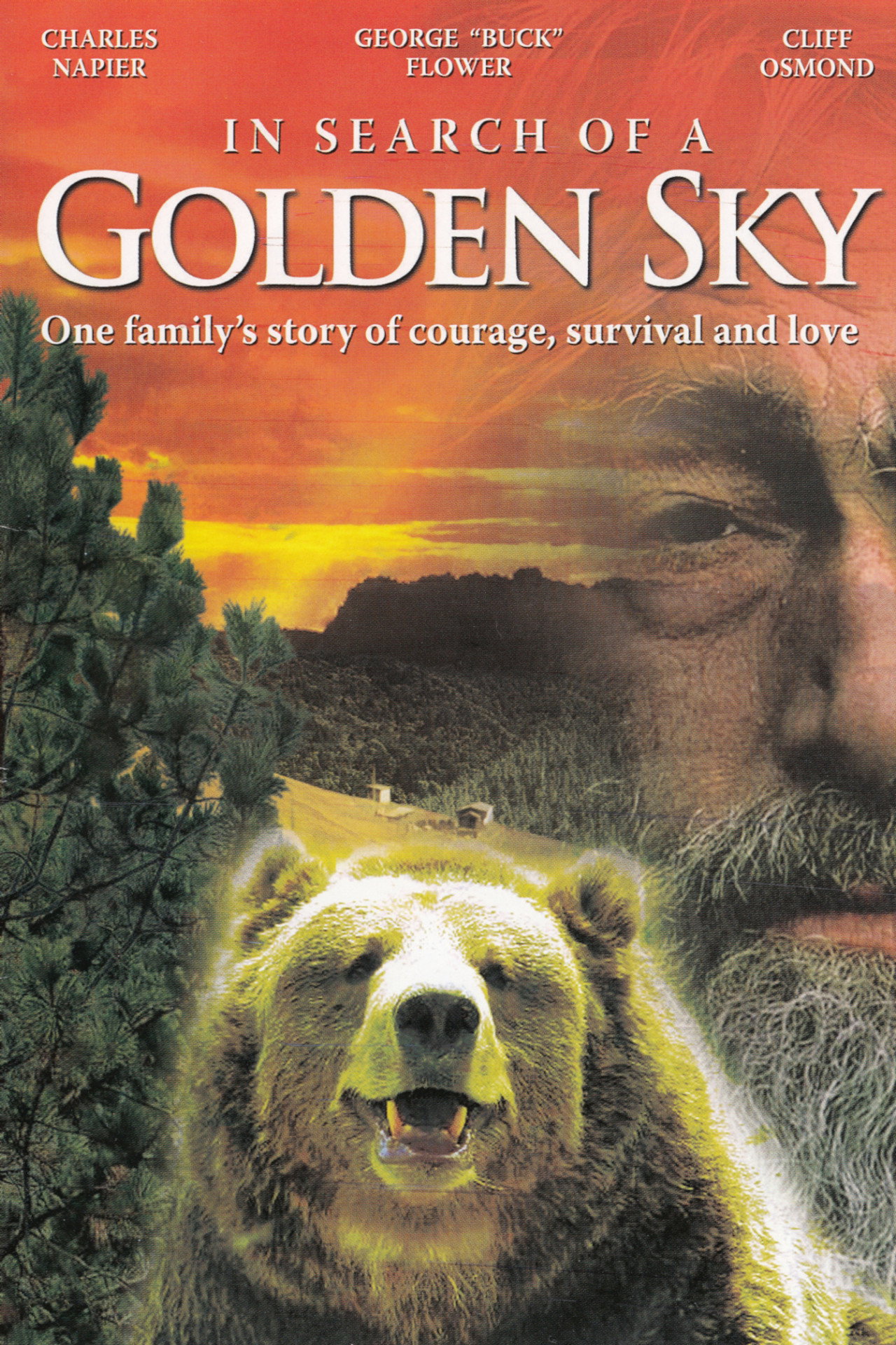 In Search of a Golden Sky filmaffisch