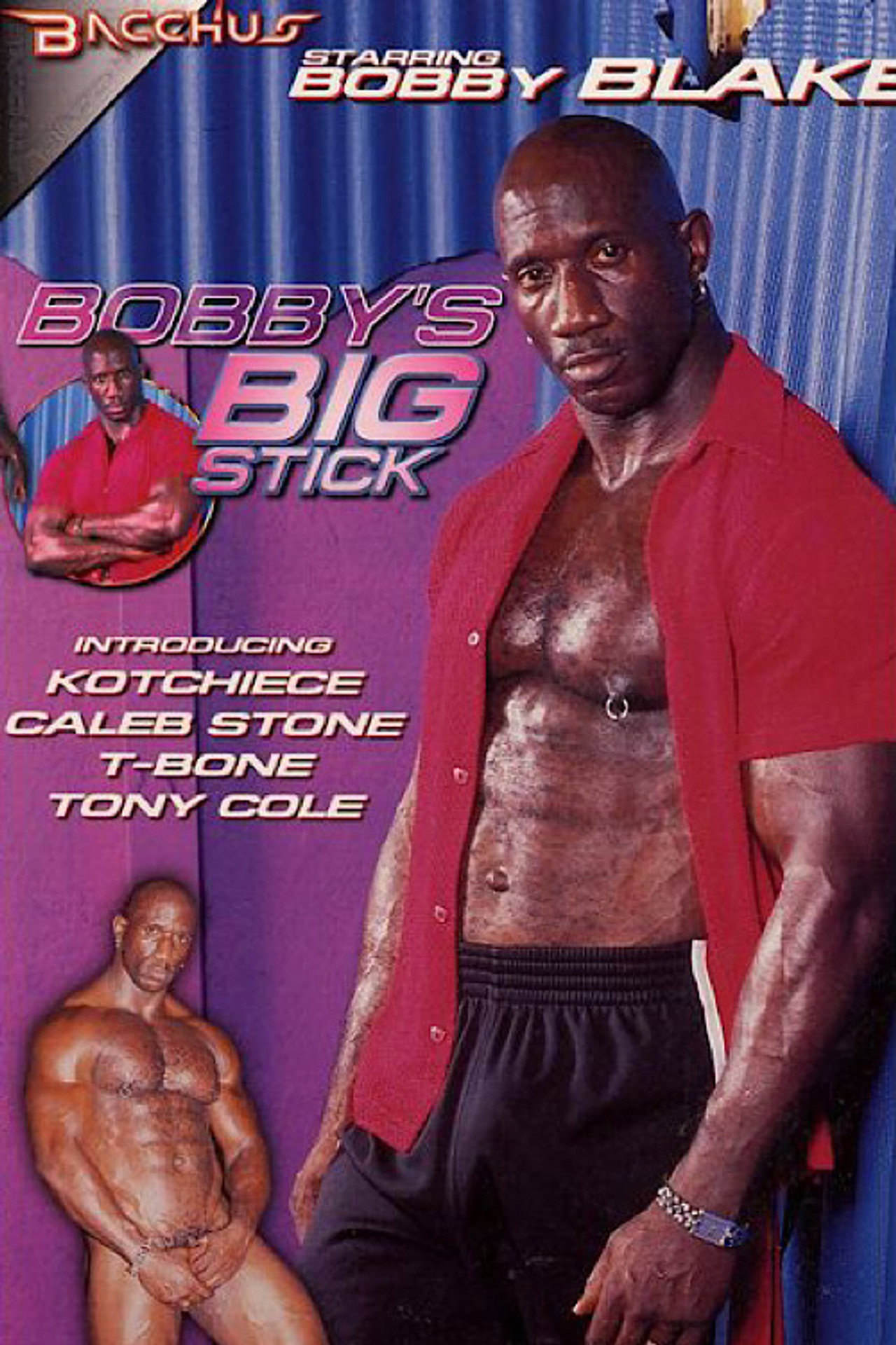 Bobby's Big Stick filmaffisch