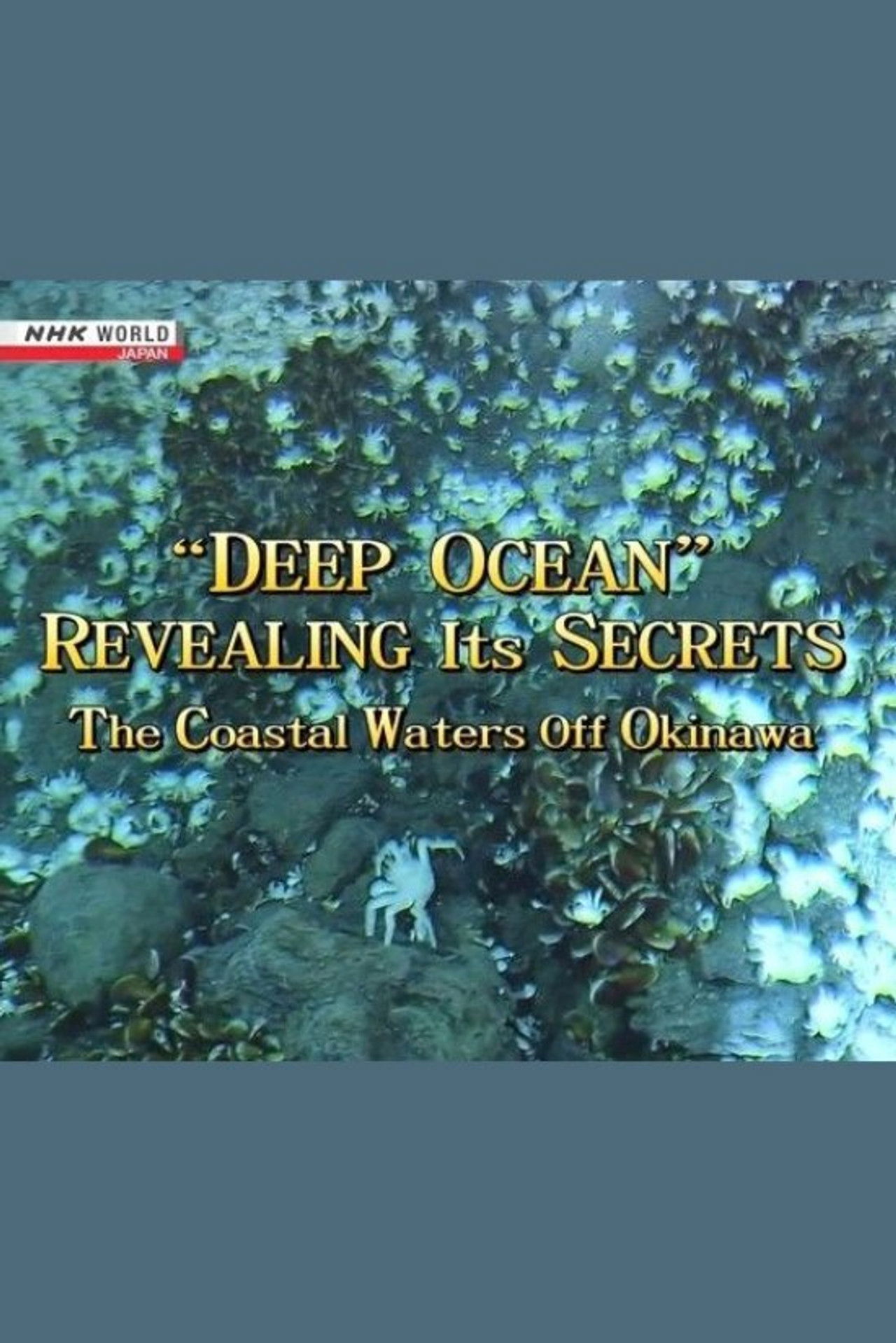 Deep Ocean: Revealing its Secrets Backdrop