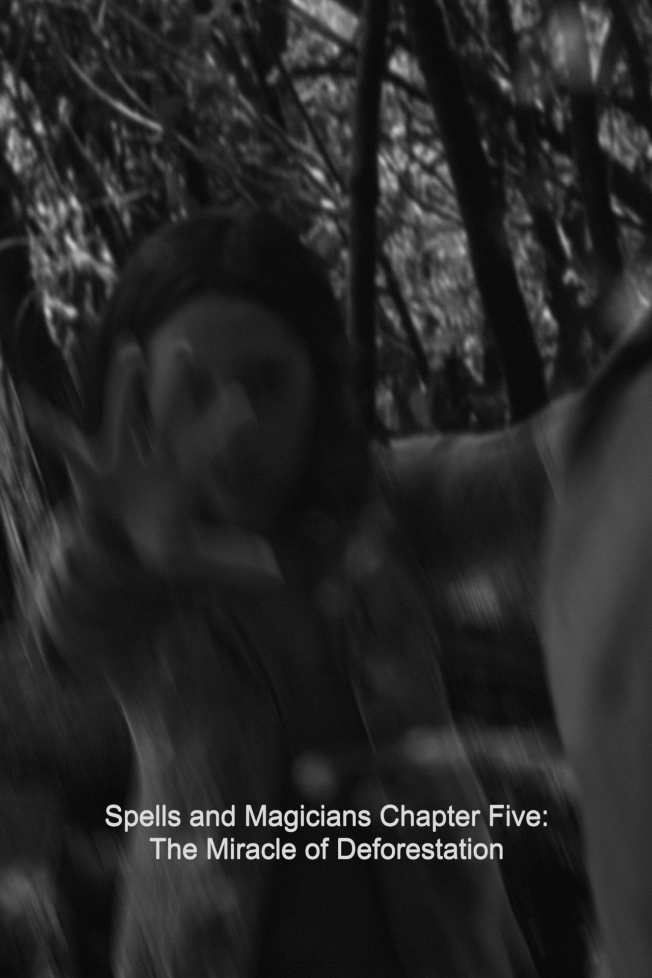 Spells and Magicians Chapter Five: The Miracle of Deforestation filmaffisch