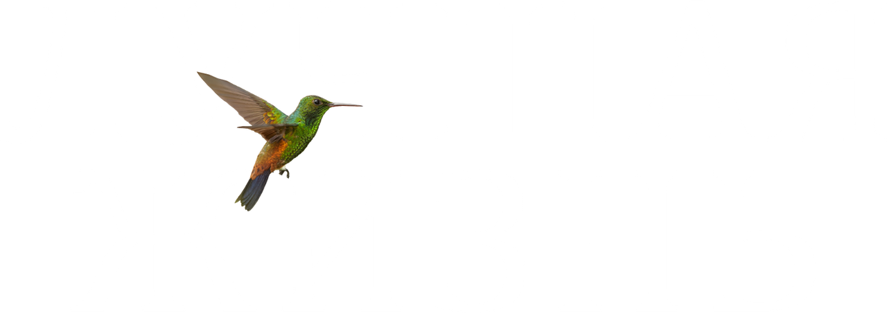 Лучшая жизнь