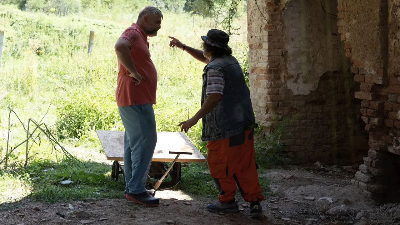 Vasile si naveta spatiala backdrop