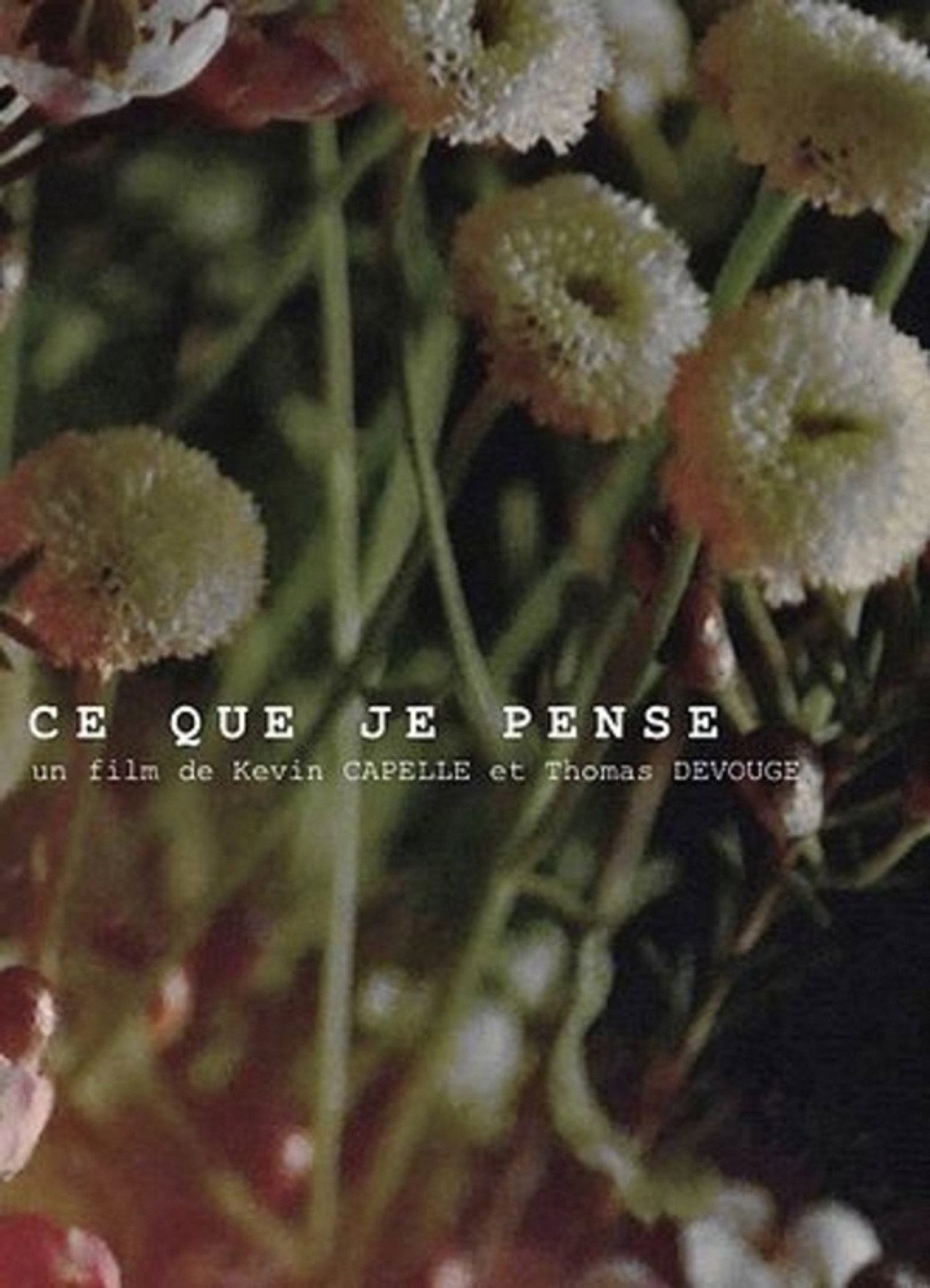Ce que je pense filmaffisch