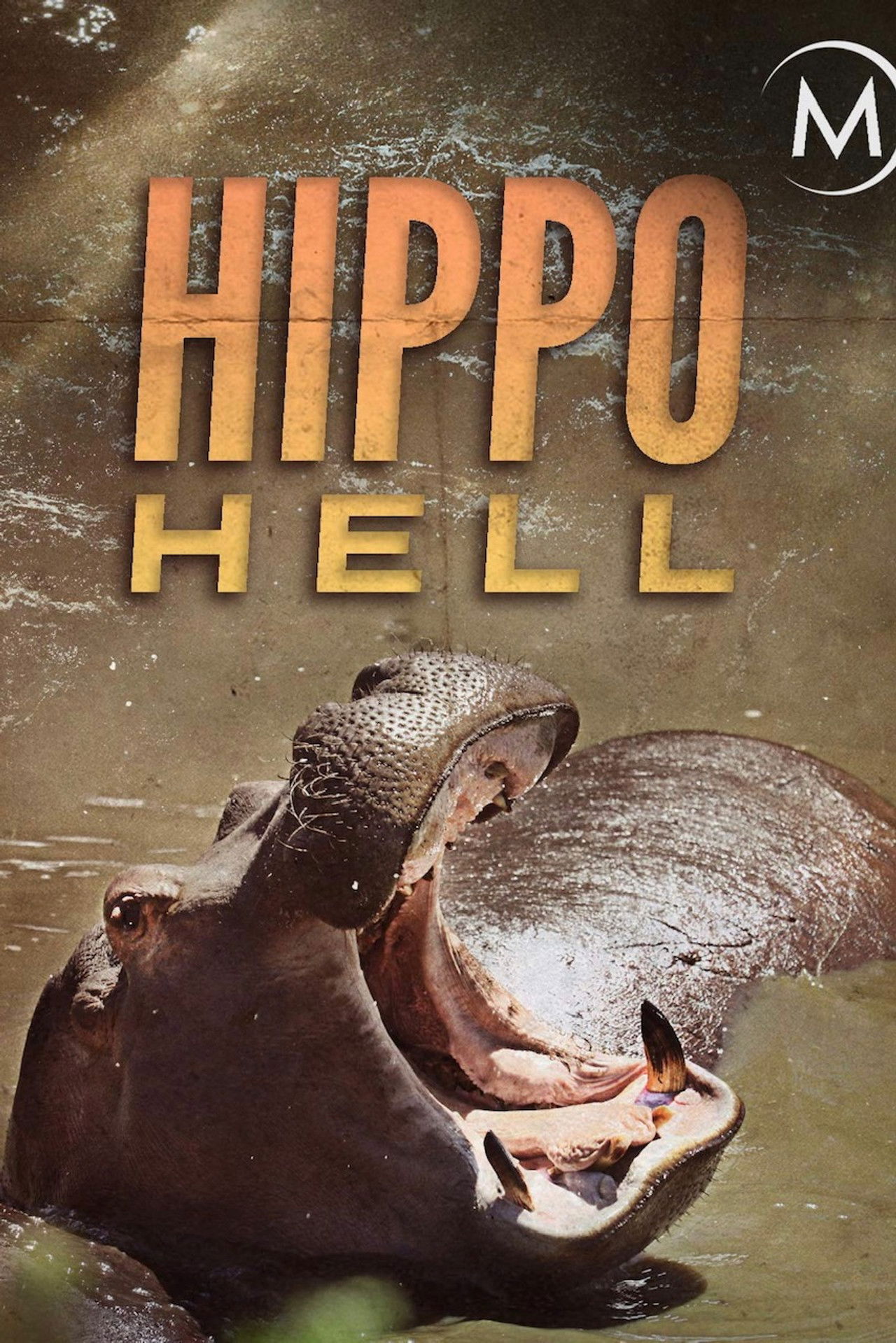 Hippo Hell Backdrop